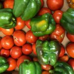 photo of tomatoes and peppers